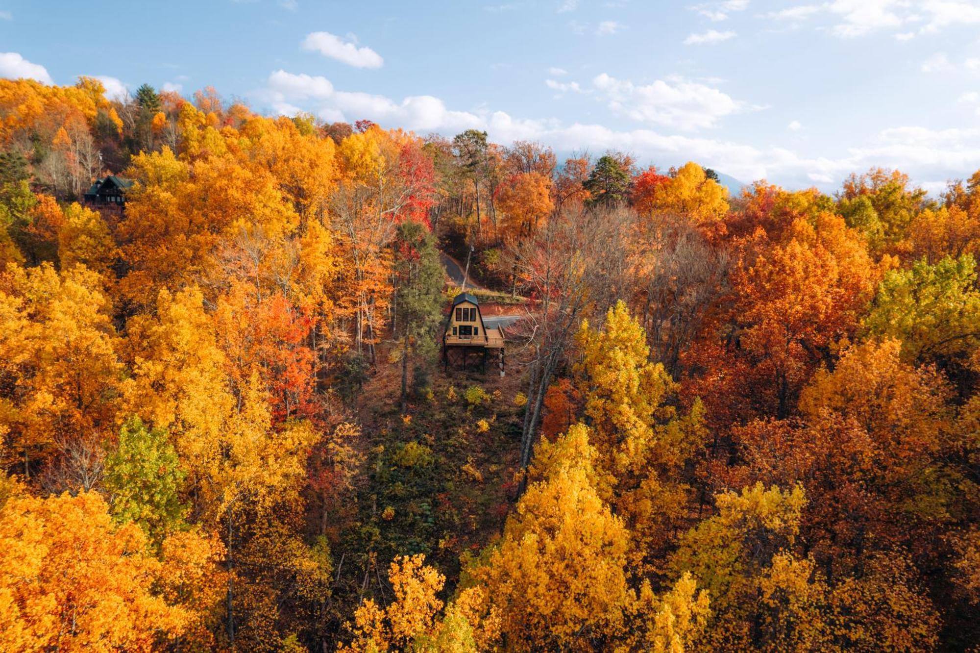 Secluded Mtn View New! 10 Mins To Gatlinburg Or Park Villa Dış mekan fotoğraf