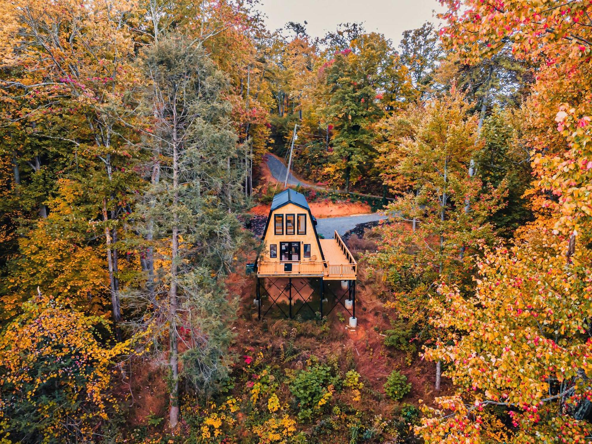 Secluded Mtn View New! 10 Mins To Gatlinburg Or Park Villa Dış mekan fotoğraf